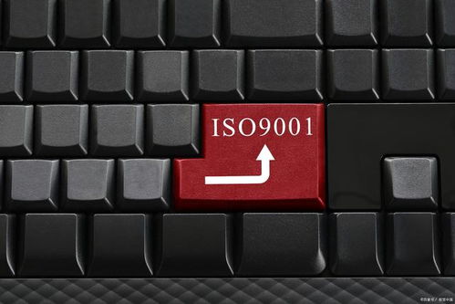 為何這些企業無需進行ISO 9001認證？